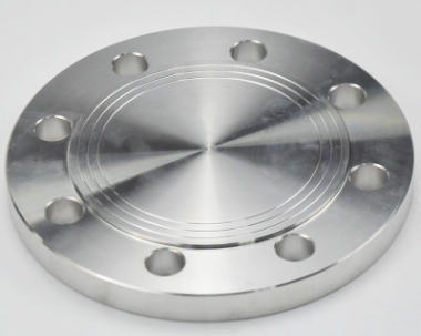 SS Flange Cover
