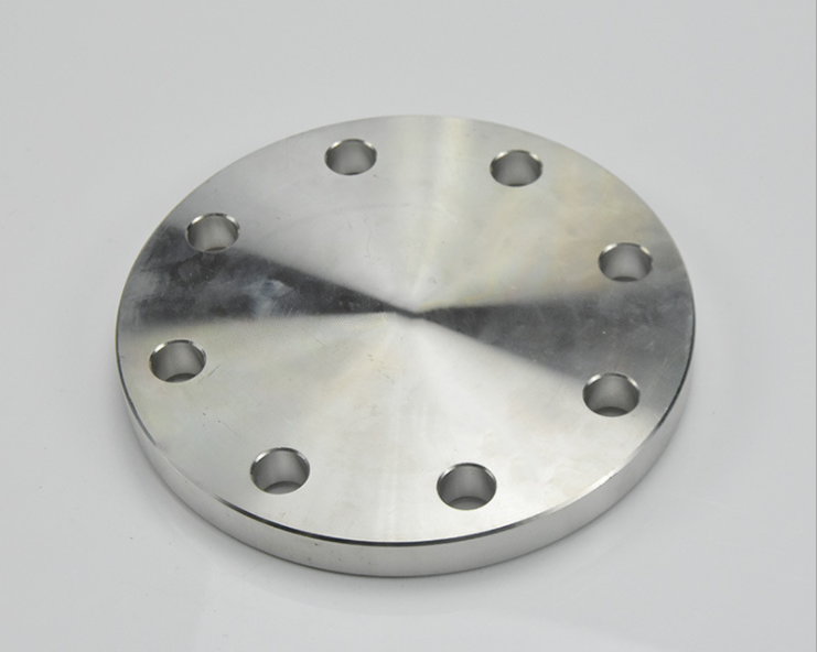 SS Flange Cover