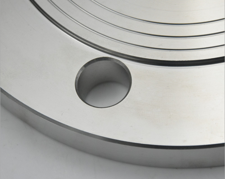 SS Flange Cover
