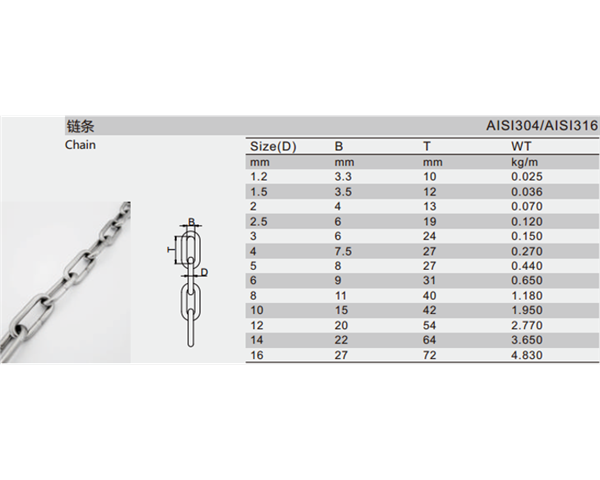 Stainless Steel Chain