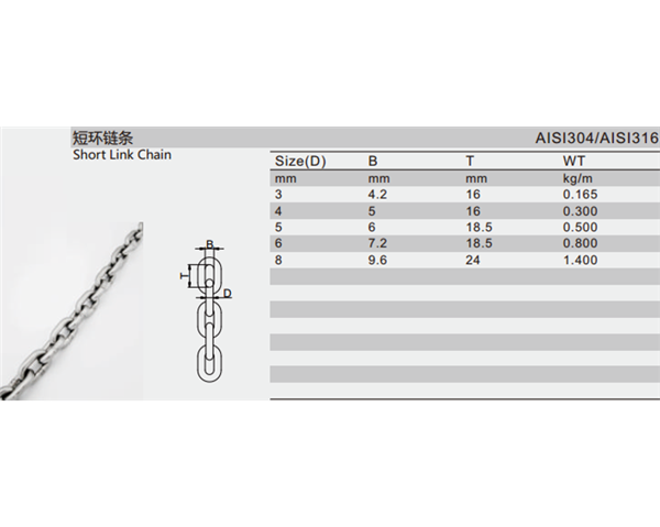 Stainless Steel Chain